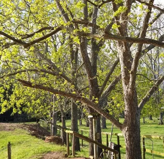 Majatalo Lentelus Guesthouse