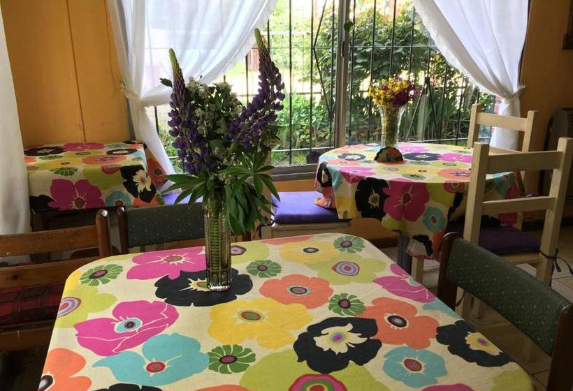 هاستل Hospedaje Unelen