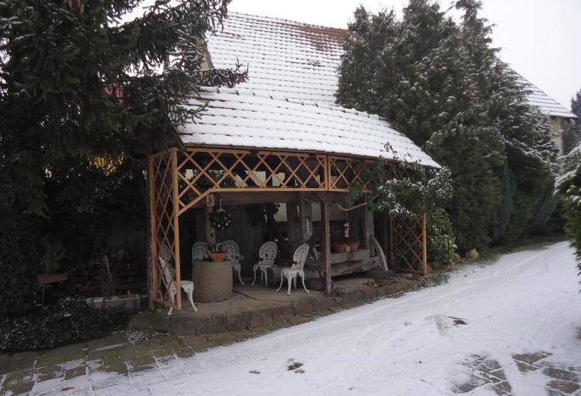 펜션 Bonifert Vendégház