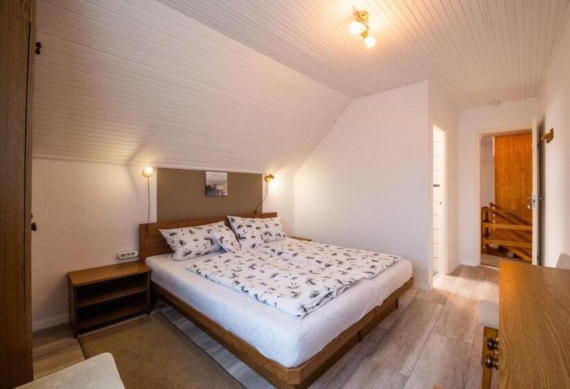 펜션 Bonifert Vendégház