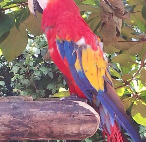 پانسیون Fenix Hotel On The Beach