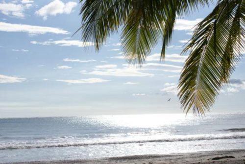 پانسیون Fenix Hotel On The Beach