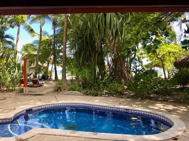 پانسیون Fenix Hotel On The Beach