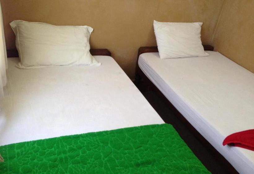 פנסיון Grand View Guesthouse