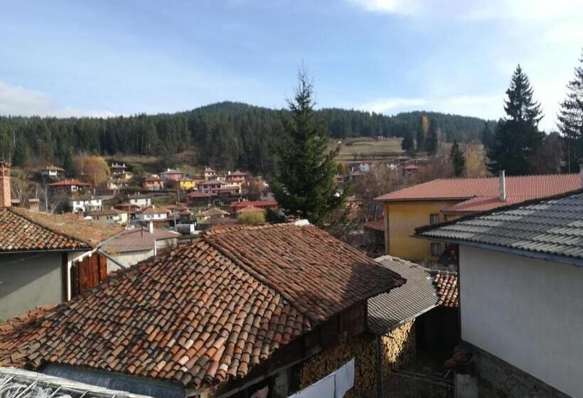 膳宿费 Guest House Terziiski