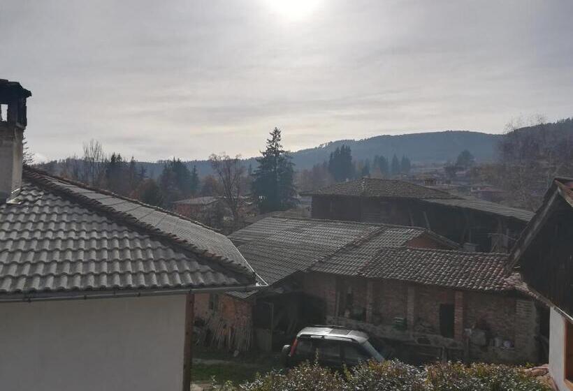 膳宿费 Guest House Terziiski