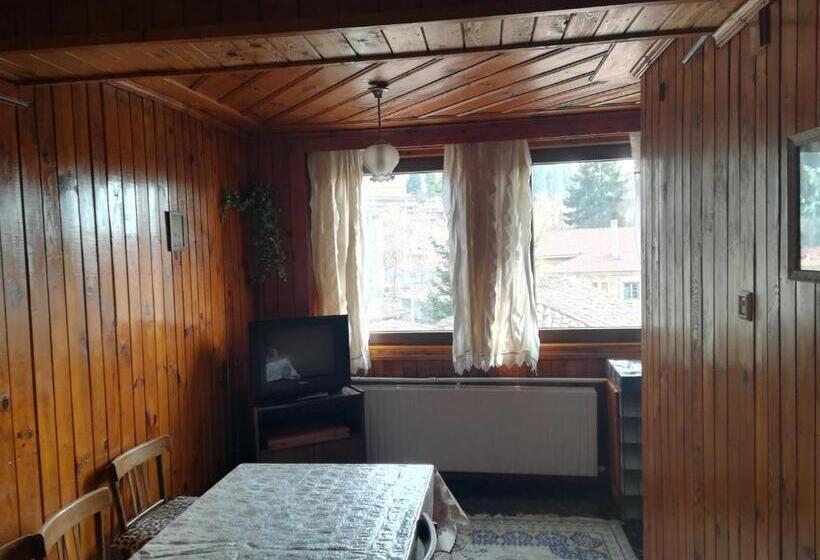 膳宿费 Guest House Terziiski