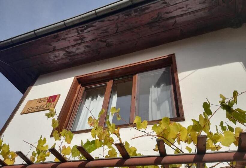 膳宿费 Guest House Terziiski