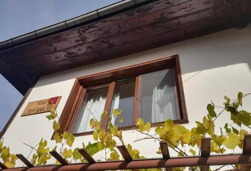 ペンション Guest House Terziiski