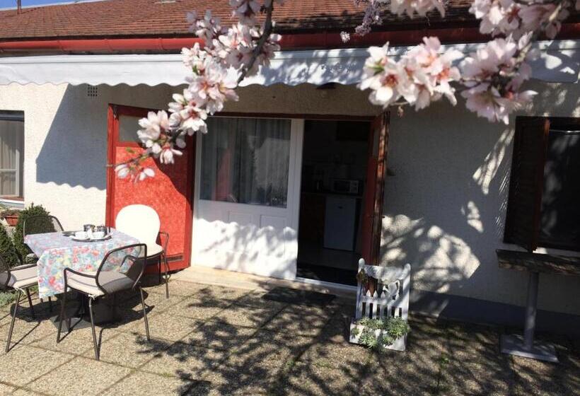 بنسيون Mandula Ház