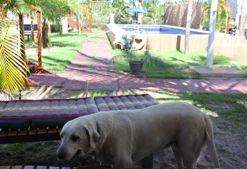 Пансион Pousada Thai Bungalows Taipu De Fora