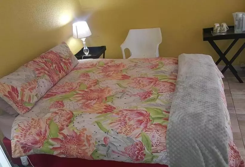 Pension The Loft Lynette S