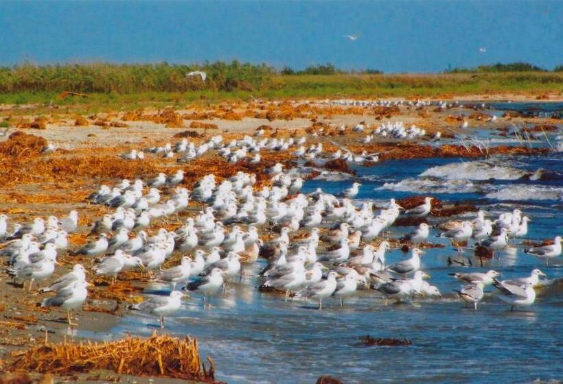 Pensiunea Turistica Visconti