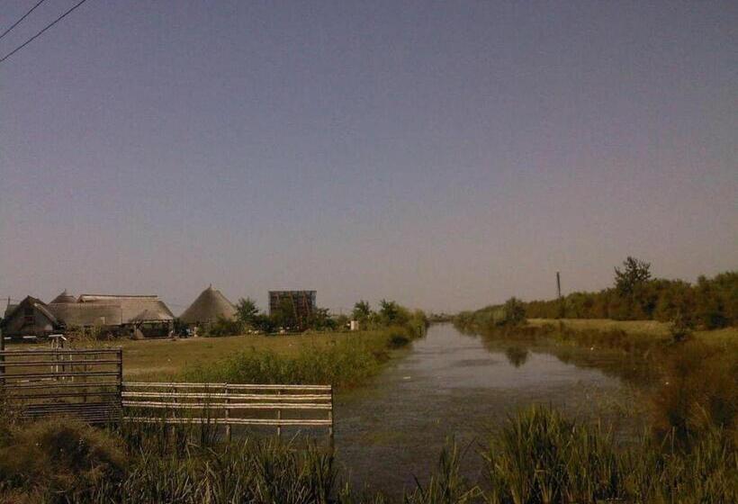 Pensiunea Turistica Visconti