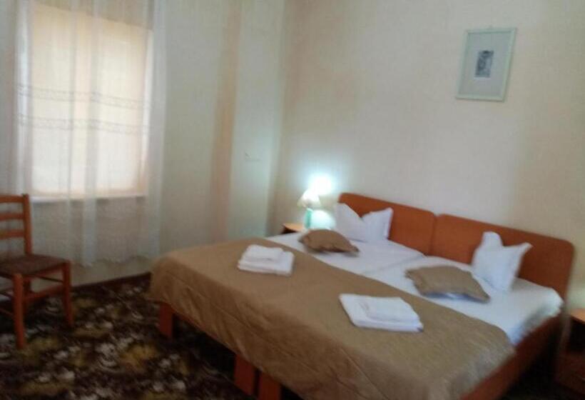 Pensiunea Turistica Visconti