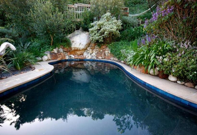 بنسيون Hout Bay Hideaway