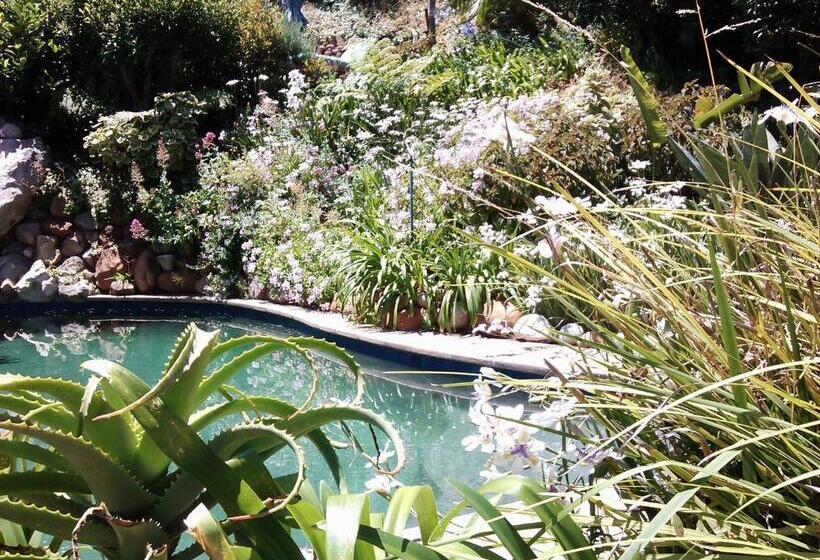 膳宿费 Hout Bay Hideaway