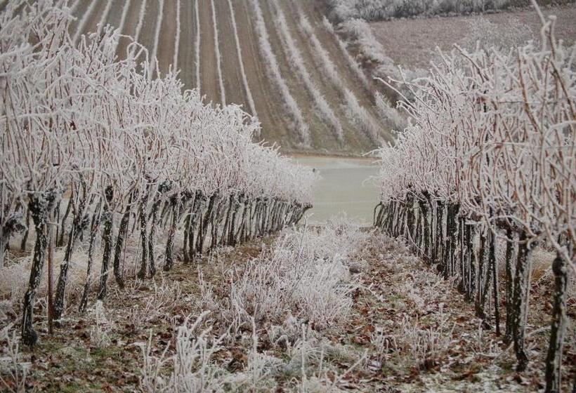 ペンション Kolpingsfamilie Poysdorf