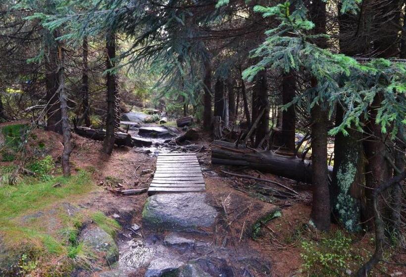 پانسیون Penzion Vital