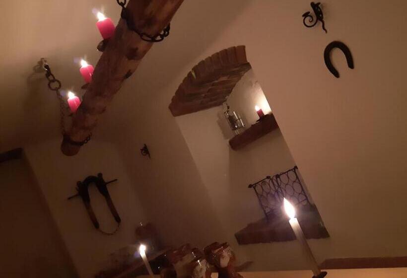 پانسیون Penzion Vital