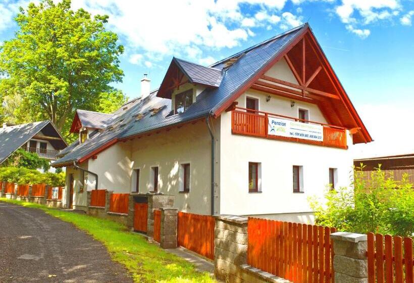 پانسیون Penzion Vital