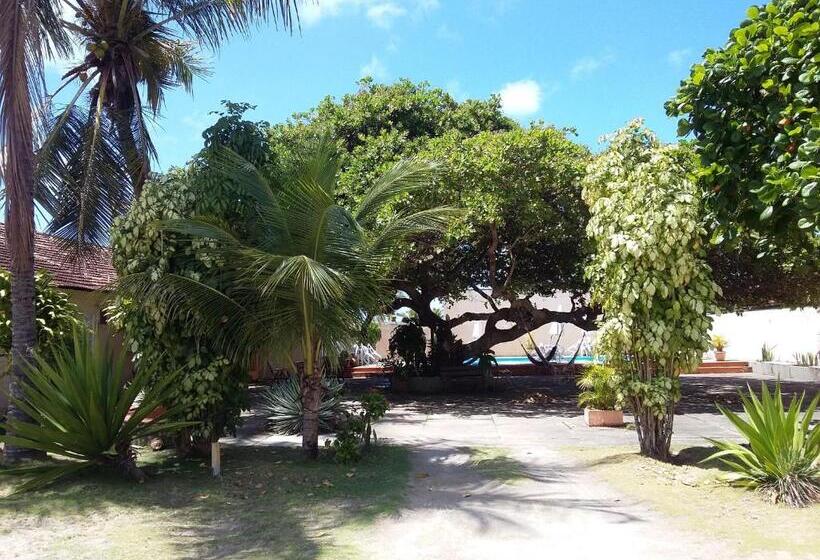 膳宿费 Pousada Pé De Caju