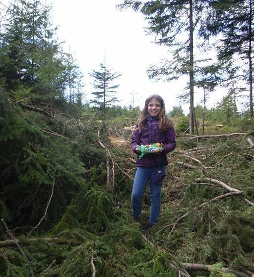 Pension & Reitstall Inghofer