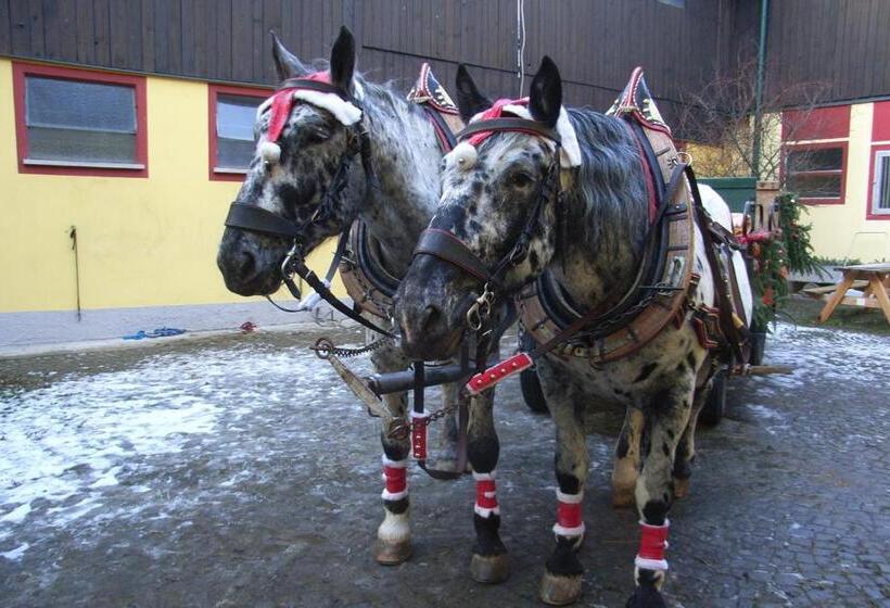 Pension & Reitstall Inghofer