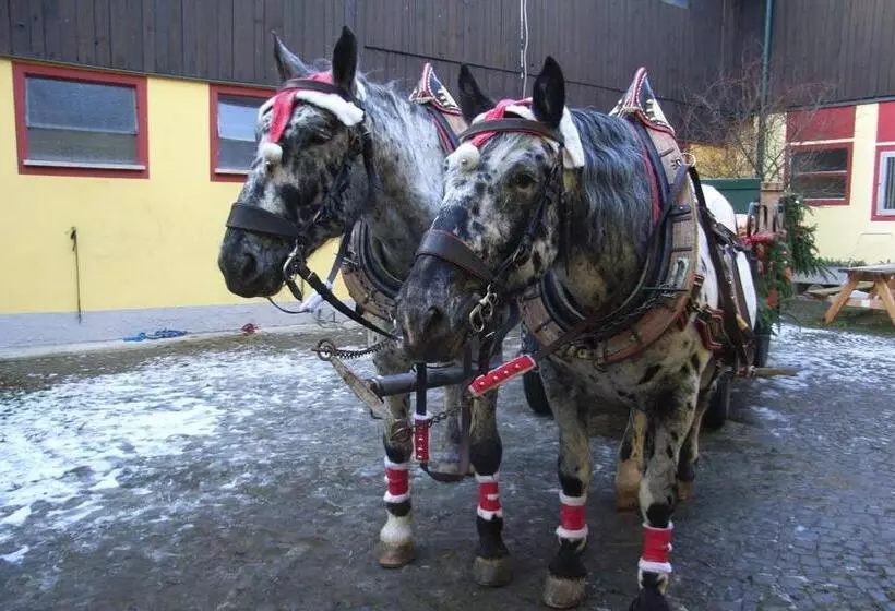 Pension & Reitstall Inghofer