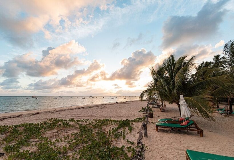 ペンション Bangalos Do Gameleiro