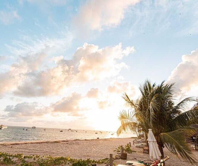 ペンション Bangalos Do Gameleiro