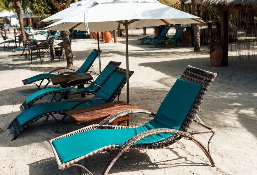 ペンション Bangalos Do Gameleiro