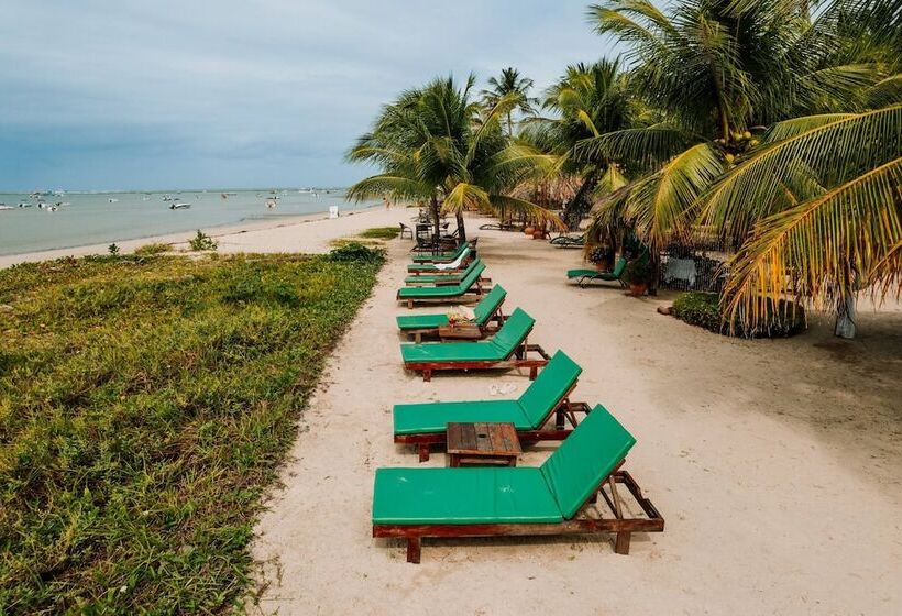 ペンション Bangalos Do Gameleiro