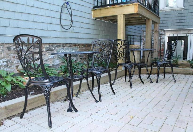 بنسيون The Novel Stay