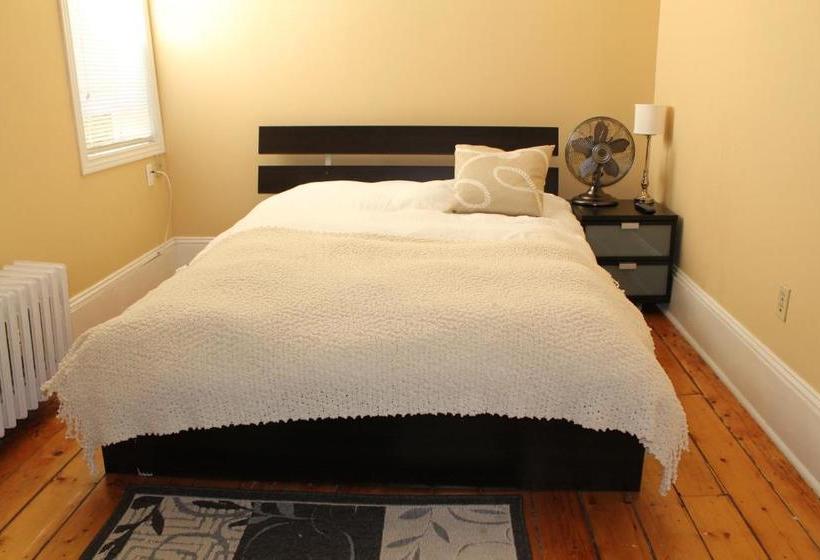 بنسيون The Novel Stay