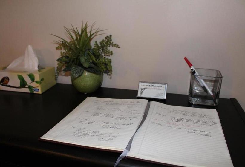 بنسيون The Novel Stay