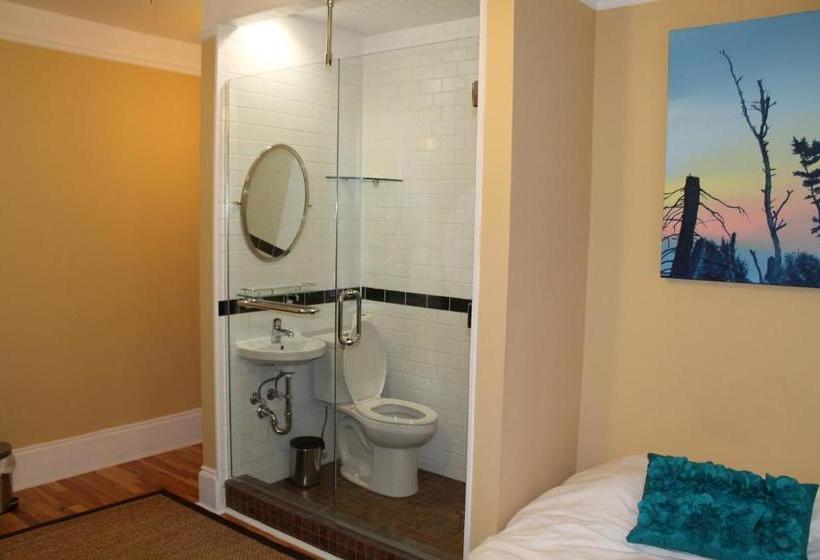 بنسيون The Novel Stay