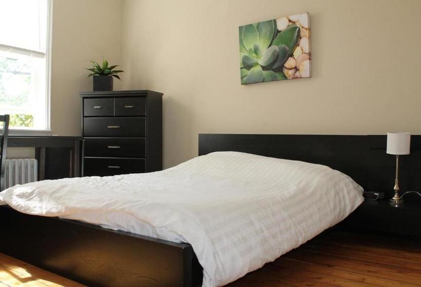 بنسيون The Novel Stay