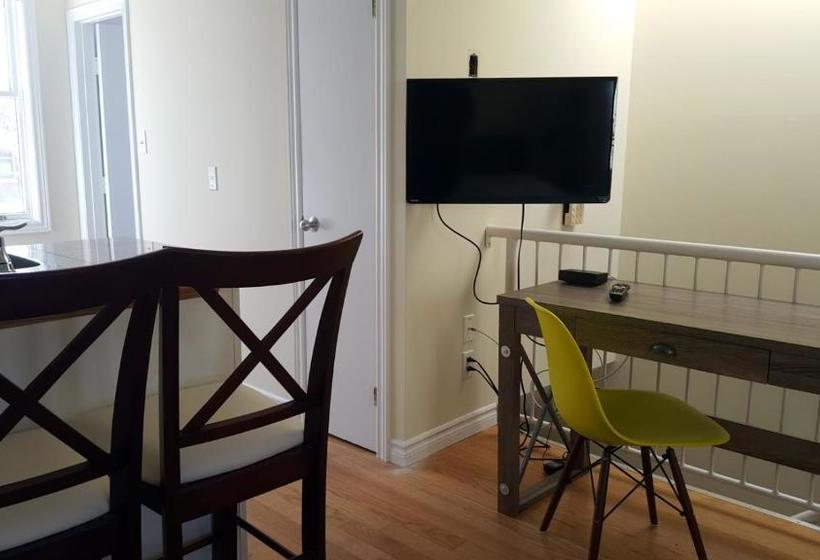 بنسيون The Novel Stay