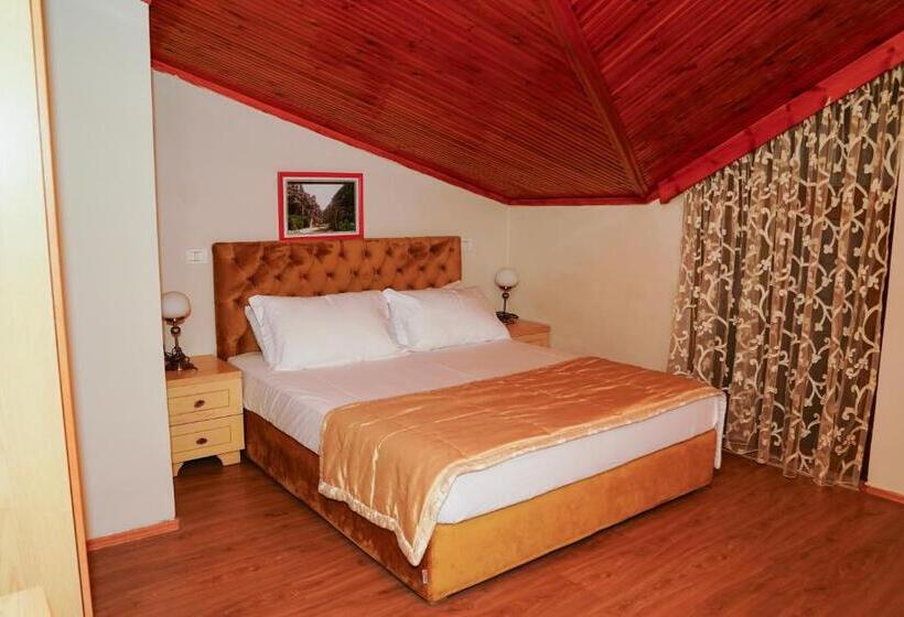 بنسيون Vila Arber