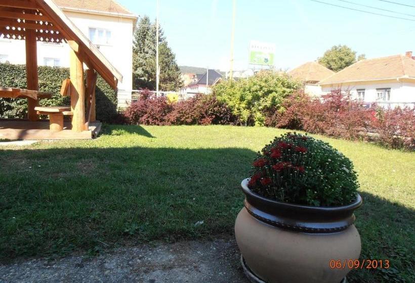 פנסיון Zelený Dom