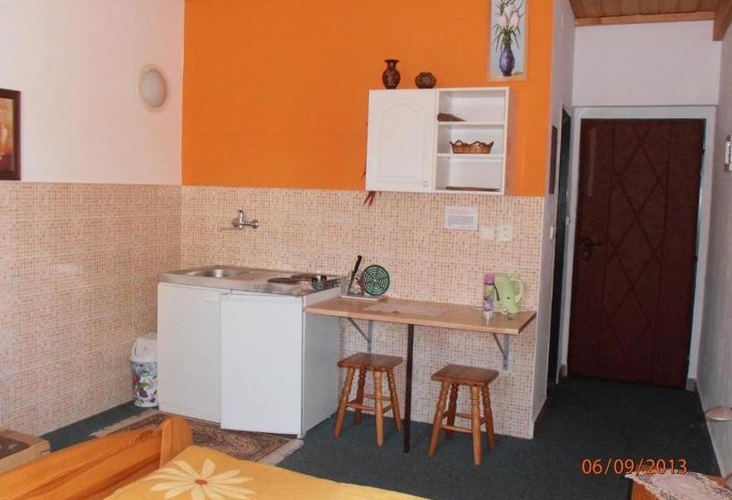 פנסיון Zelený Dom