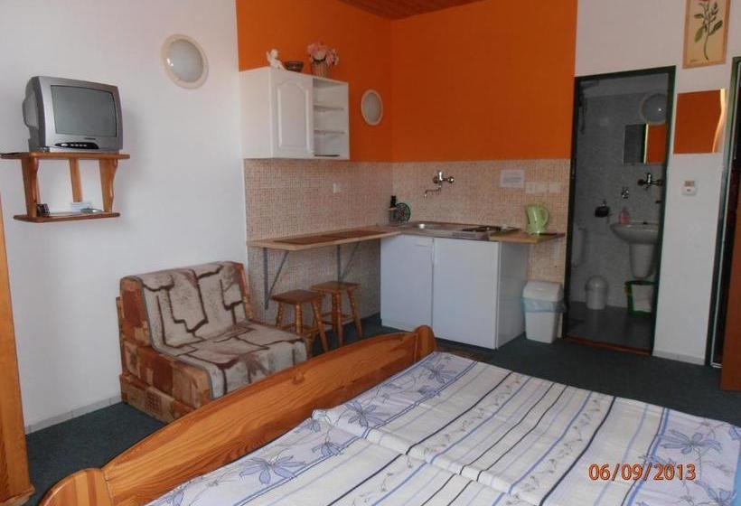 פנסיון Zelený Dom