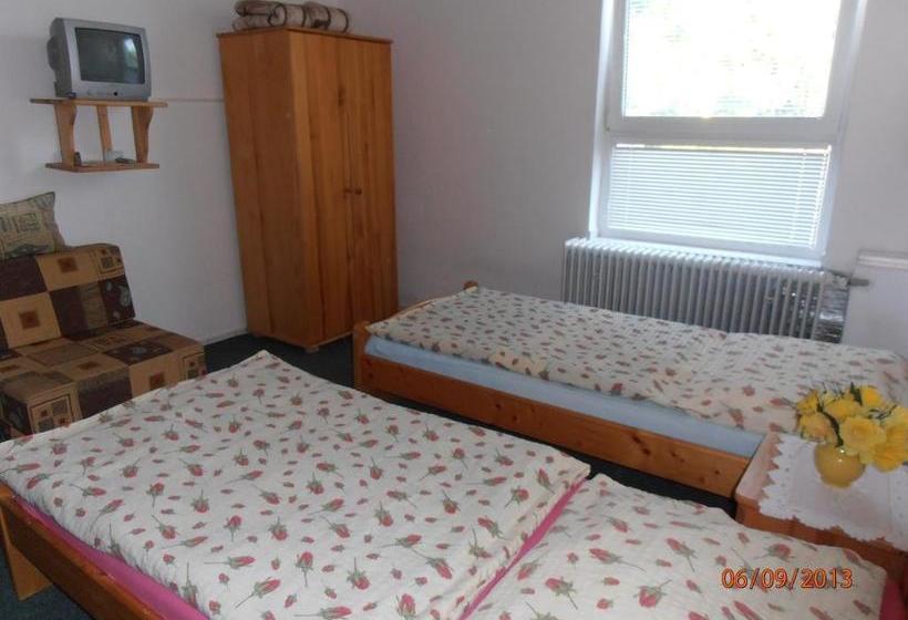 פנסיון Zelený Dom