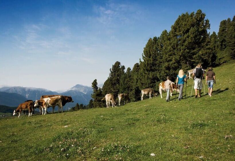 膳宿费 Appart Mein Fiegl