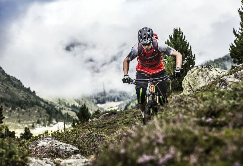 膳宿费 Appart Mein Fiegl