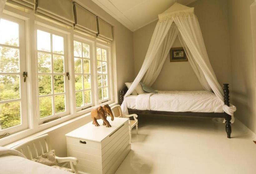 ペンション Ashburnham Tea Estate