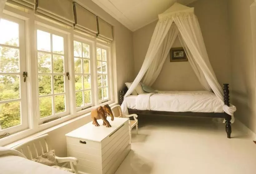 Majatalo Ashburnham Tea Estate