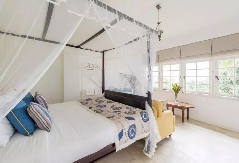 Majatalo Ashburnham Tea Estate