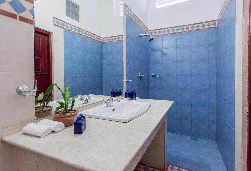 ペンション Ashburnham Tea Estate